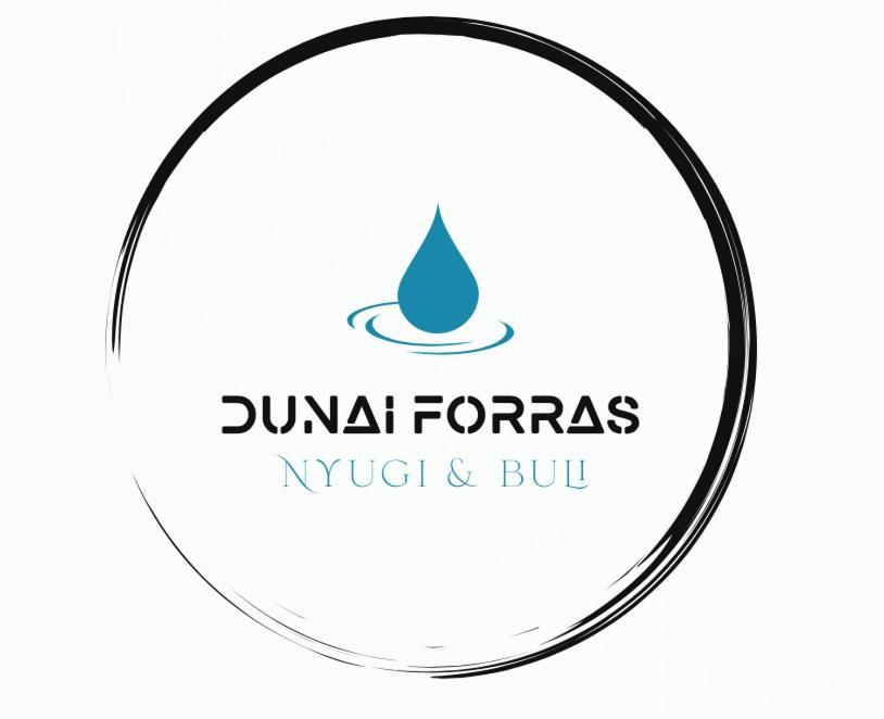 Dunaegyhaza Forras Vendeghazヴィラ エクステリア 写真